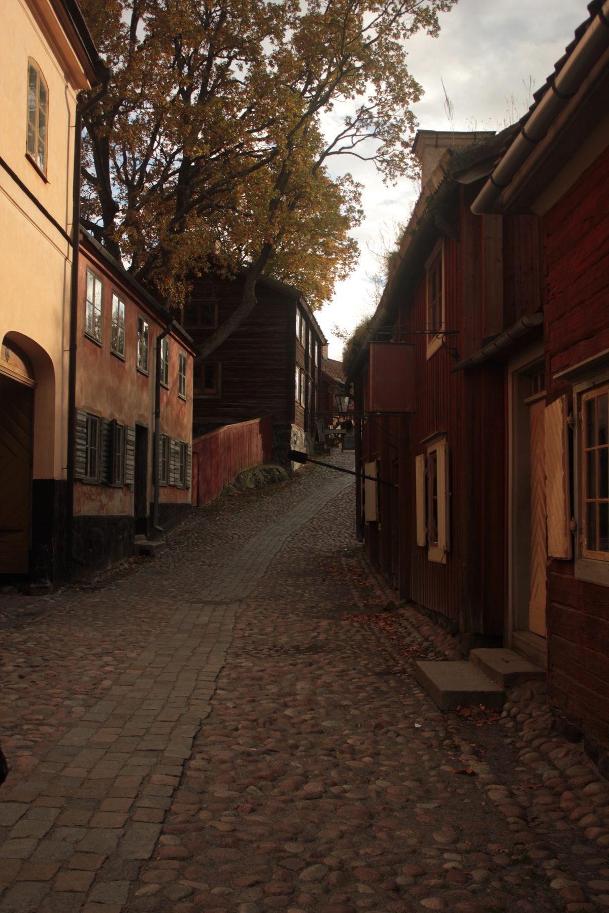 Cobbled lane, autumn light